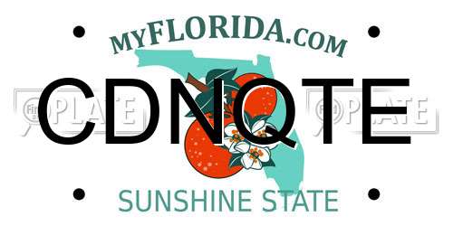 CDNQTE Florida License Plate