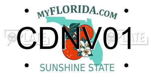 CDNV01 Florida License Plate