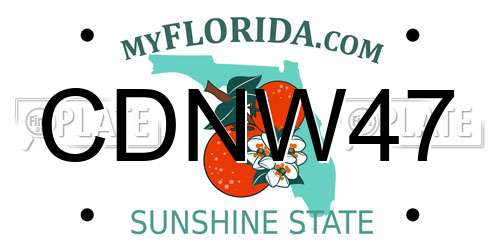 CDNW47 Florida License Plate