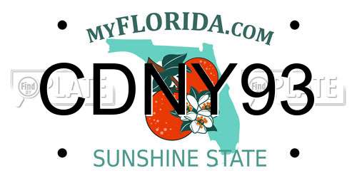 CDNY93 Florida License Plate