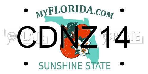 CDNZ14 Florida License Plate