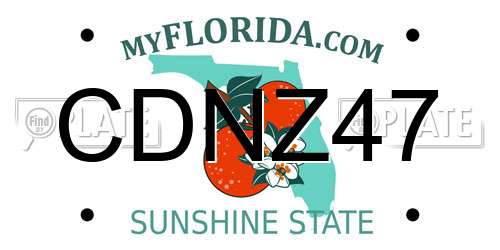 CDNZ47 Florida License Plate