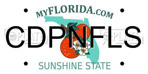 CDPNFLS Florida License Plate