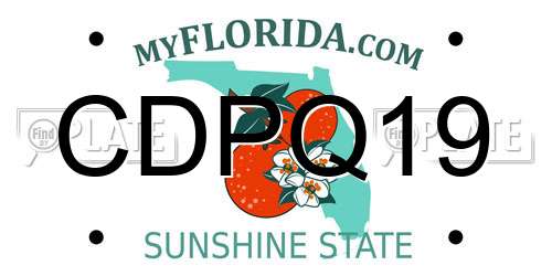 CDPQ19 Florida License Plate