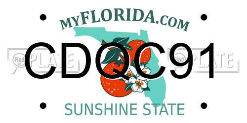 CDQC91 Florida License Plate
