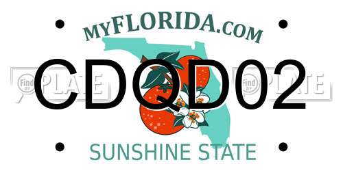CDQD02 Florida License Plate