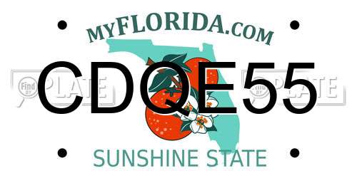 CDQE55 Florida License Plate