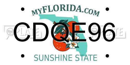 CDQE96 Florida License Plate