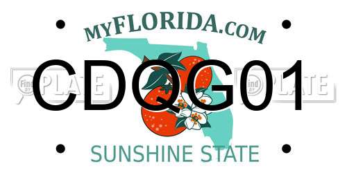 CDQG01 Florida License Plate