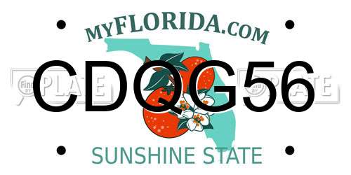 CDQG56 Florida License Plate