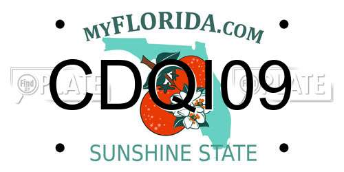 CDQI09 Florida License Plate
