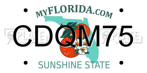 CDQM75 Florida License Plate