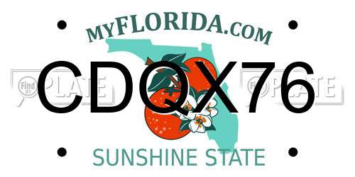 CDQX76 Florida License Plate