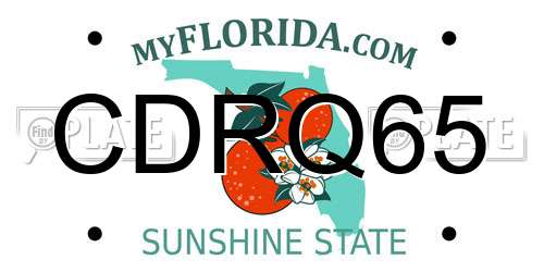 CDRQ65 Florida License Plate