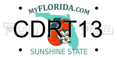 CDRT13 Florida License Plate