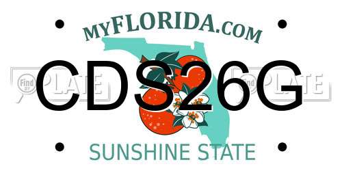 CDS26G Florida License Plate