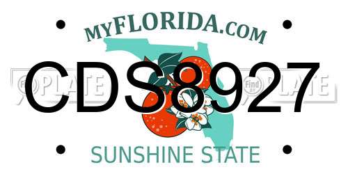 CDS8927 Florida License Plate