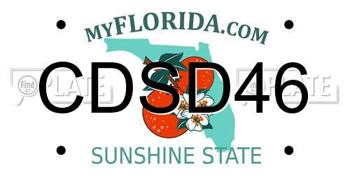 CDSD46 Florida License Plate