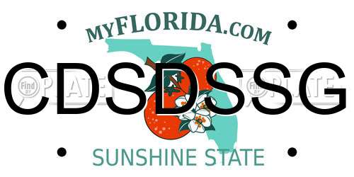 CDSDSSG Florida License Plate