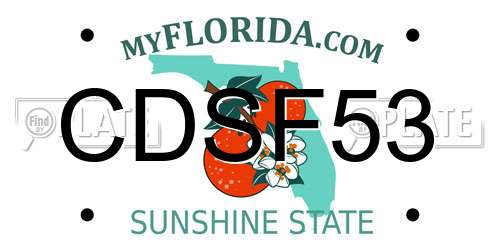 CDSF53 Florida License Plate