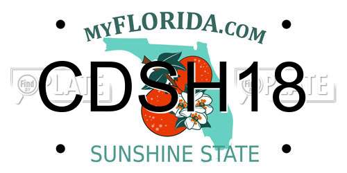 CDSH18 Florida License Plate