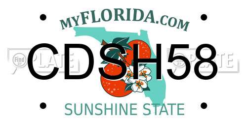 CDSH58 Florida License Plate