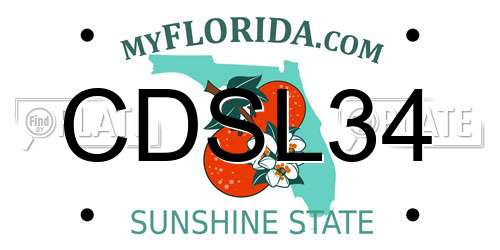 CDSL34 Florida License Plate