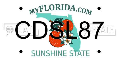 CDSL87 Florida License Plate