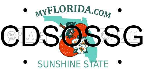 CDSOSSG Florida License Plate