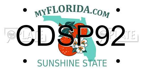 CDSP92 Florida License Plate