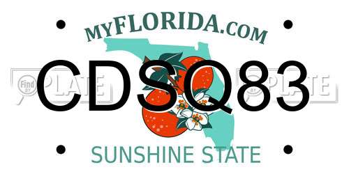 CDSQ83 Florida License Plate