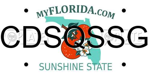CDSQSSG Florida License Plate