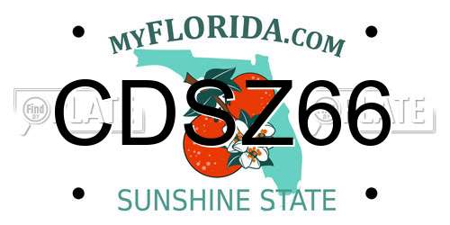 CDSZ66 Florida License Plate