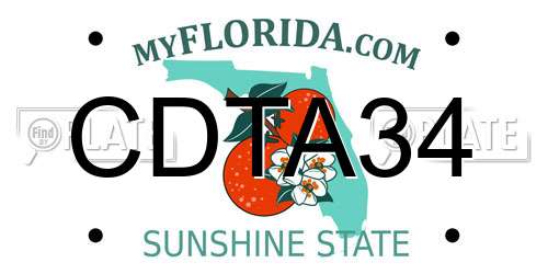 CDTA34 Florida License Plate