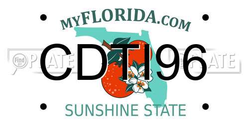 CDTI96 Florida License Plate