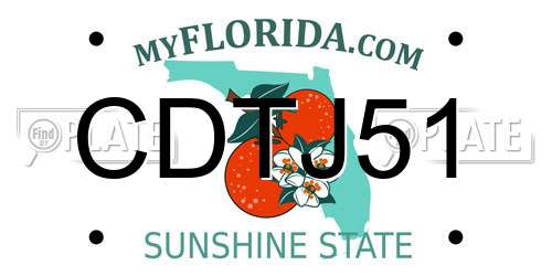 CDTJ51 Florida License Plate