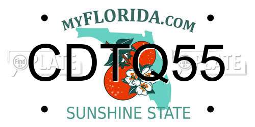 CDTQ55 Florida License Plate