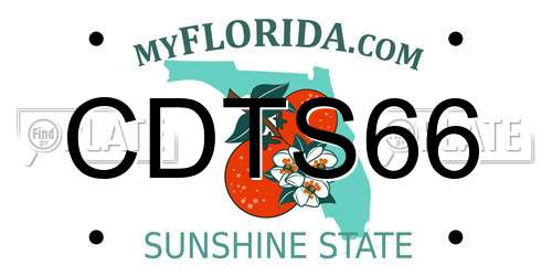 CDTS66 Florida License Plate