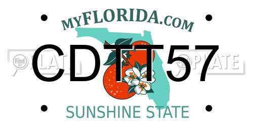 CDTT57 Florida License Plate