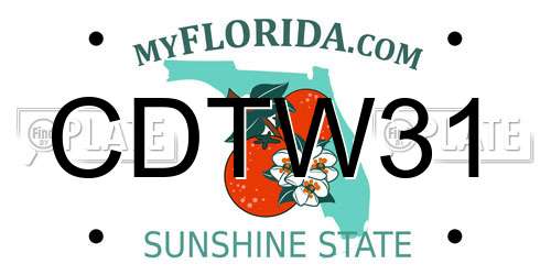 CDTW31 Florida License Plate