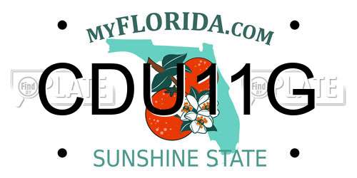 CDU11G Florida License Plate