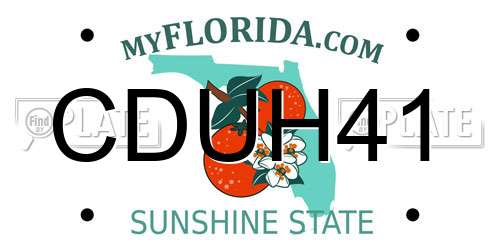 CDUH41 Florida License Plate