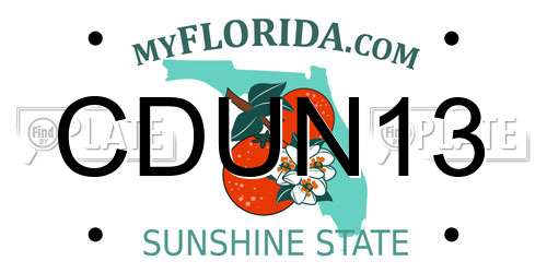 CDUN13 Florida License Plate