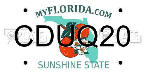 CDUQ20 Florida License Plate