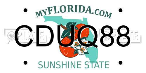 CDUQ88 Florida License Plate