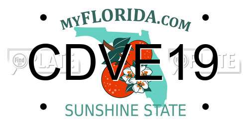 CDVE19 Florida License Plate