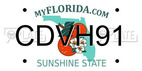 CDVH91 Florida License Plate