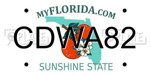 CDWA82 Florida License Plate
