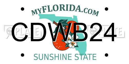 CDWB24 Florida License Plate