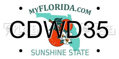 CDWD35 Florida License Plate